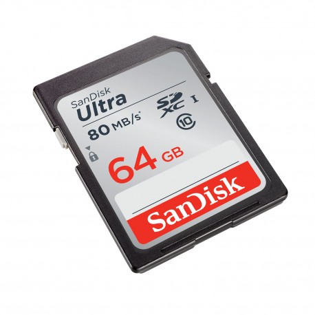SANDISK ULTRA- CARTE SD 64GB - Piègephotographique